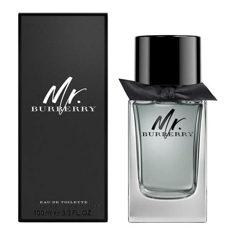 mr burberry perfume edt|Burberry perfume for men's price.